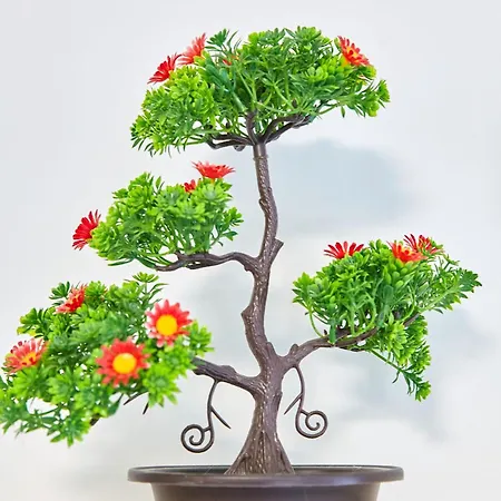 Apartament Melody Nord 10 *